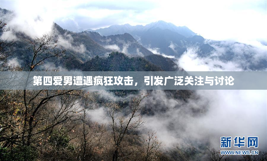 第四爱男遭遇疯狂攻击，引发广泛关注与讨论
