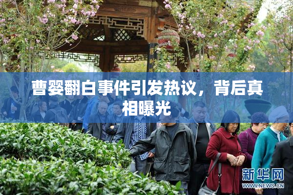 曹婴翻白事件引发热议，背后真相曝光
