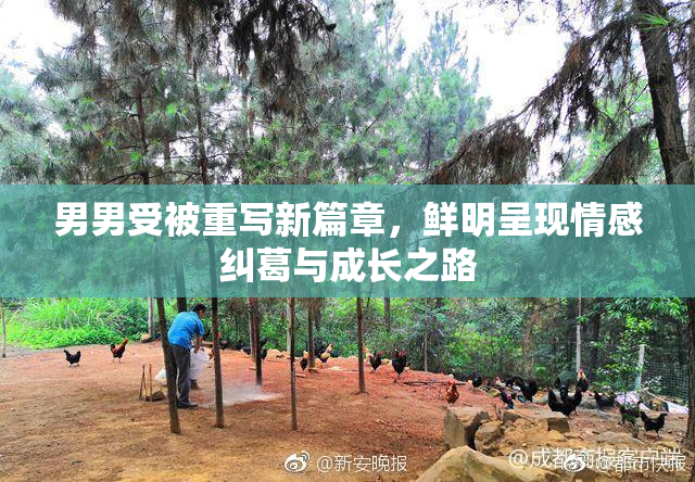 男男受被重写新篇章，鲜明呈现情感纠葛与成长之路