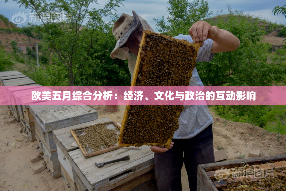 欧美五月综合分析：经济、文化与政治的互动影响