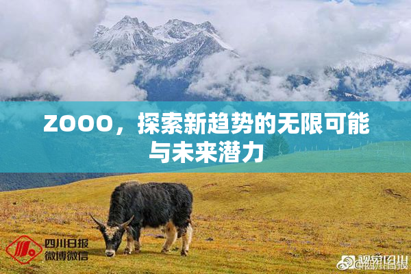 ZOOO，探索新趋势的无限可能与未来潜力