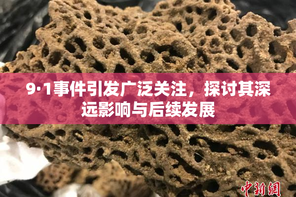9·1事件引发广泛关注，探讨其深远影响与后续发展