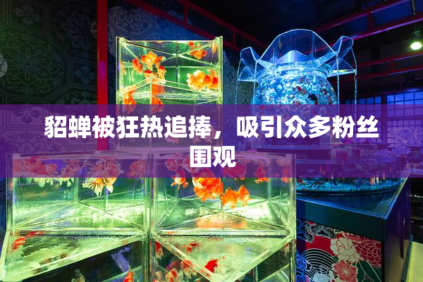 貂蝉被狂热追捧，吸引众多粉丝围观