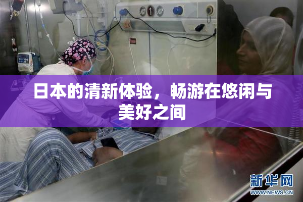 日本的清新体验，畅游在悠闲与美好之间