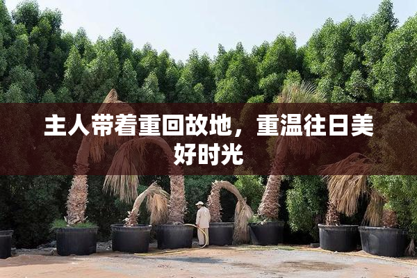 主人带着重回故地，重温往日美好时光