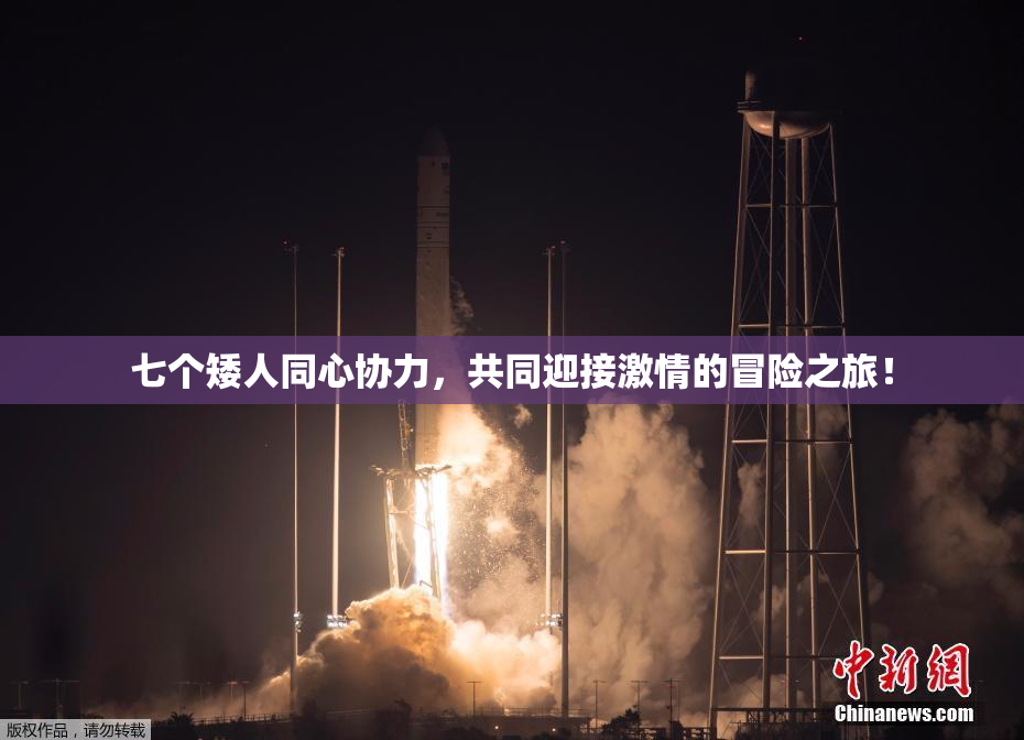 七个矮人同心协力，共同迎接激情的冒险之旅！