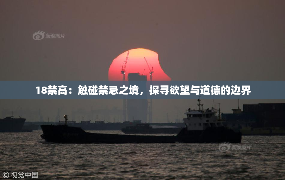 18禁高：触碰禁忌之境，探寻欲望与道德的边界