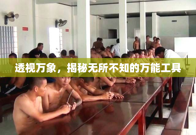 透视万象，揭秘无所不知的万能工具