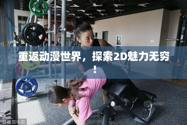重返动漫世界，探索2D魅力无穷！