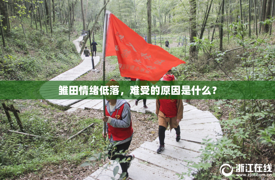 雏田情绪低落，难受的原因是什么？