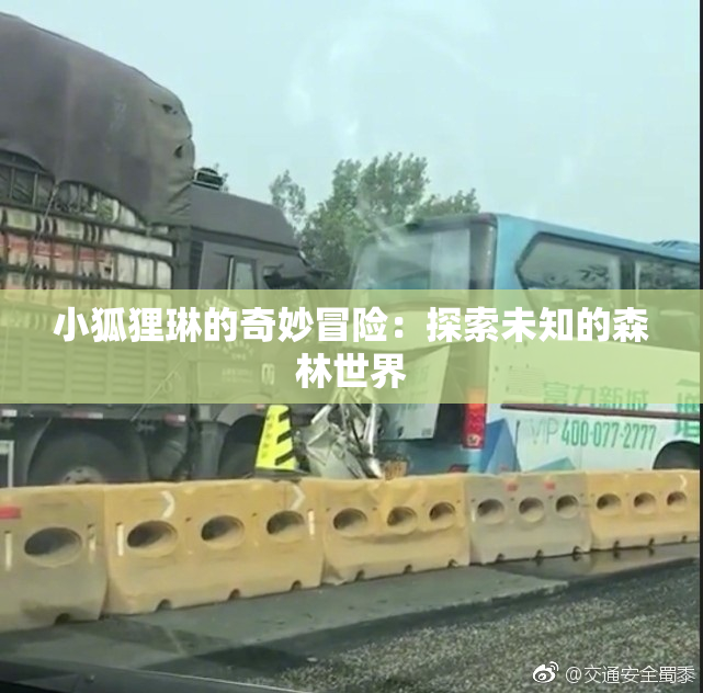 小狐狸琳的奇妙冒险：探索未知的森林世界