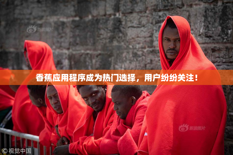 香蕉应用程序成为热门选择，用户纷纷关注！