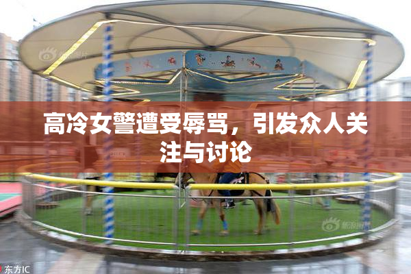 高冷女警遭受辱骂，引发众人关注与讨论