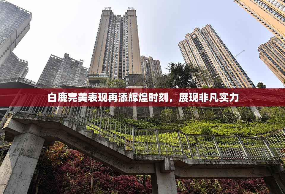 白鹿完美表现再添辉煌时刻，展现非凡实力