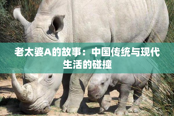 老太婆A的故事：中国传统与现代生活的碰撞