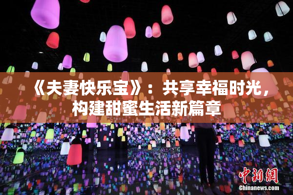 《夫妻快乐宝》：共享幸福时光，构建甜蜜生活新篇章
