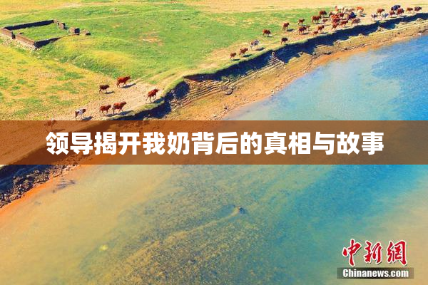 领导揭开我奶背后的真相与故事