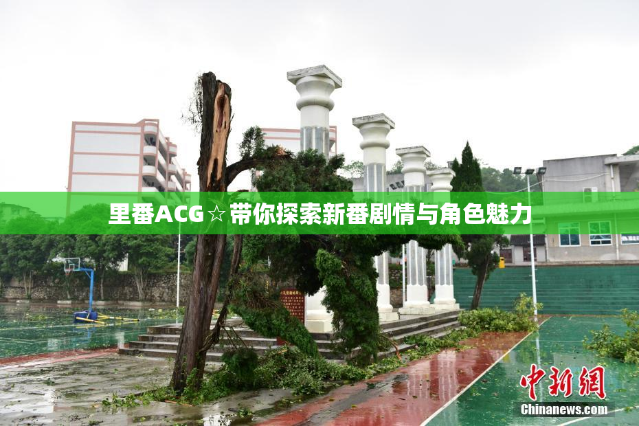 里番ACG☆带你探索新番剧情与角色魅力