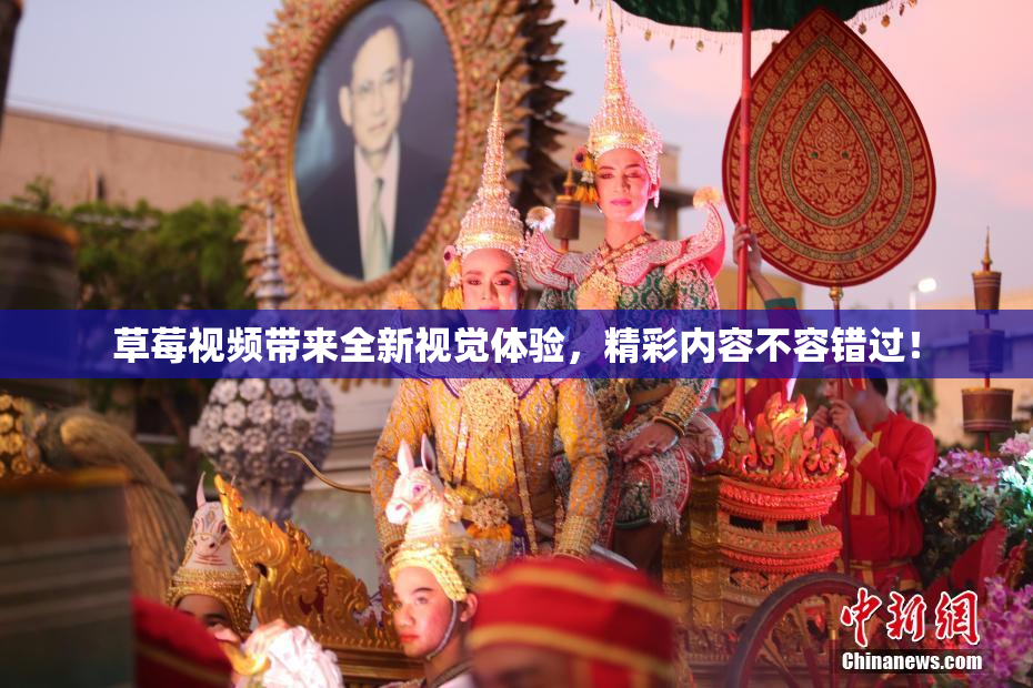 草莓视频带来全新视觉体验，精彩内容不容错过！