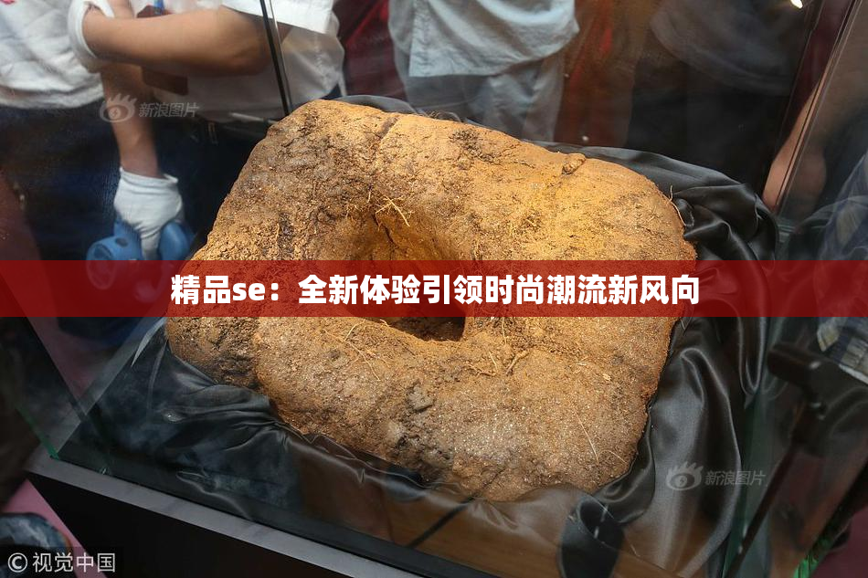 精品se：全新体验引领时尚潮流新风向