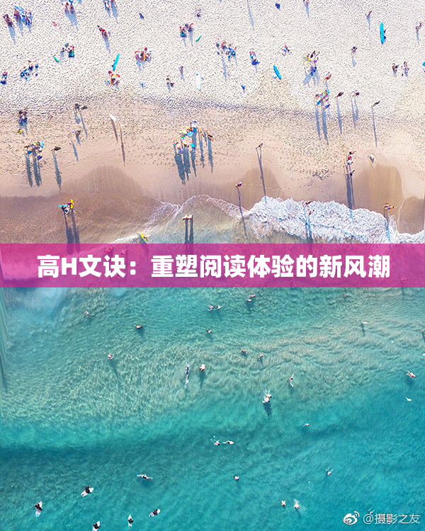 高H文诀：重塑阅读体验的新风潮