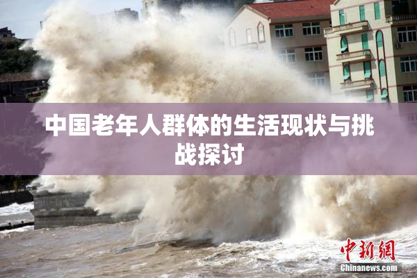 中国老年人群体的生活现状与挑战探讨