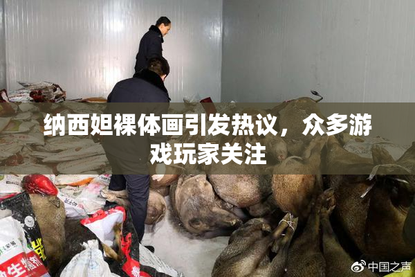 纳西妲裸体画引发热议，众多游戏玩家关注