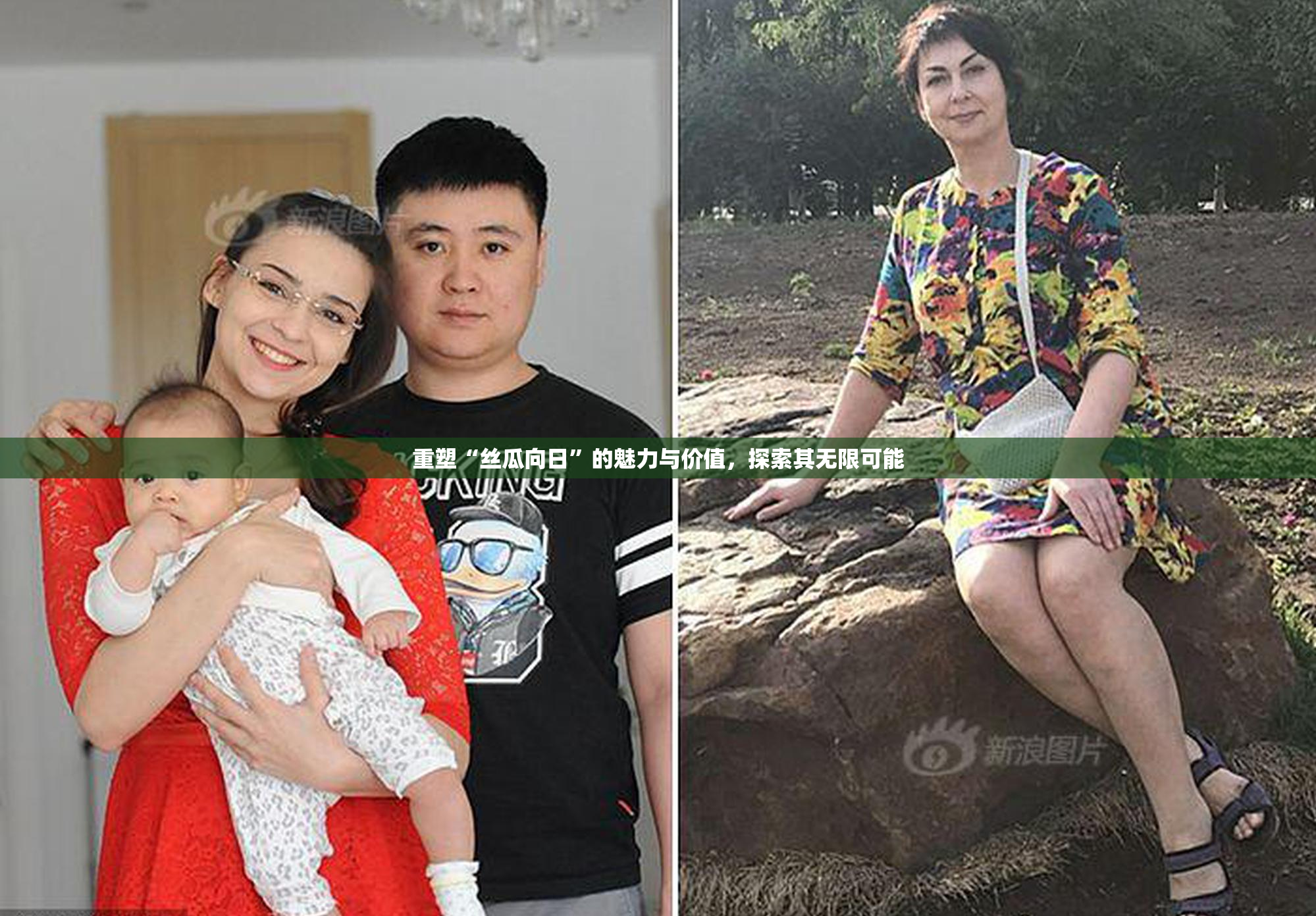重塑“丝瓜向日”的魅力与价值，探索其无限可能