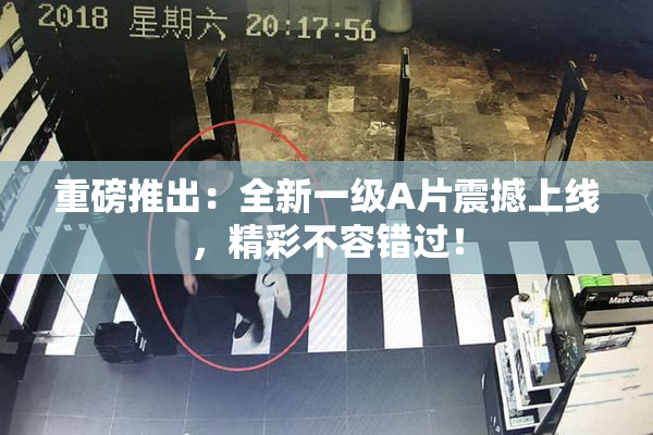 重磅推出：全新一级A片震撼上线，精彩不容错过！