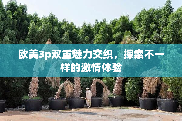 欧美3p双重魅力交织，探索不一样的激情体验