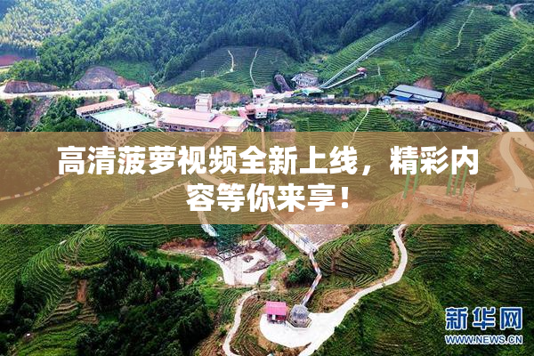 高清菠萝视频全新上线，精彩内容等你来享！