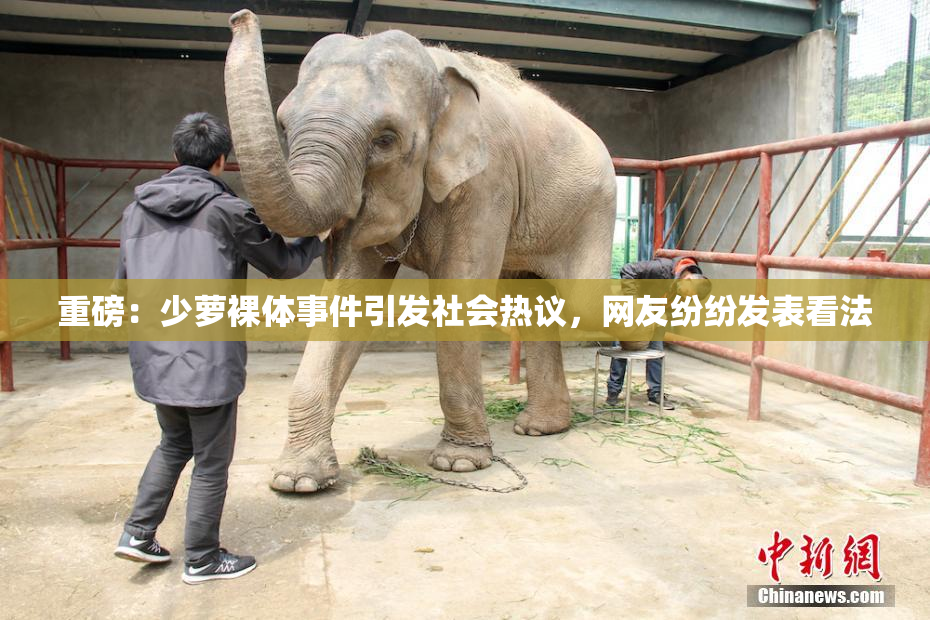 重磅：少萝裸体事件引发社会热议，网友纷纷发表看法