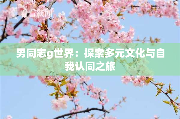 男同志g世界：探索多元文化与自我认同之旅