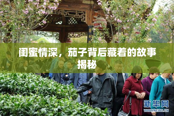闺蜜情深，茄子背后藏着的故事揭秘