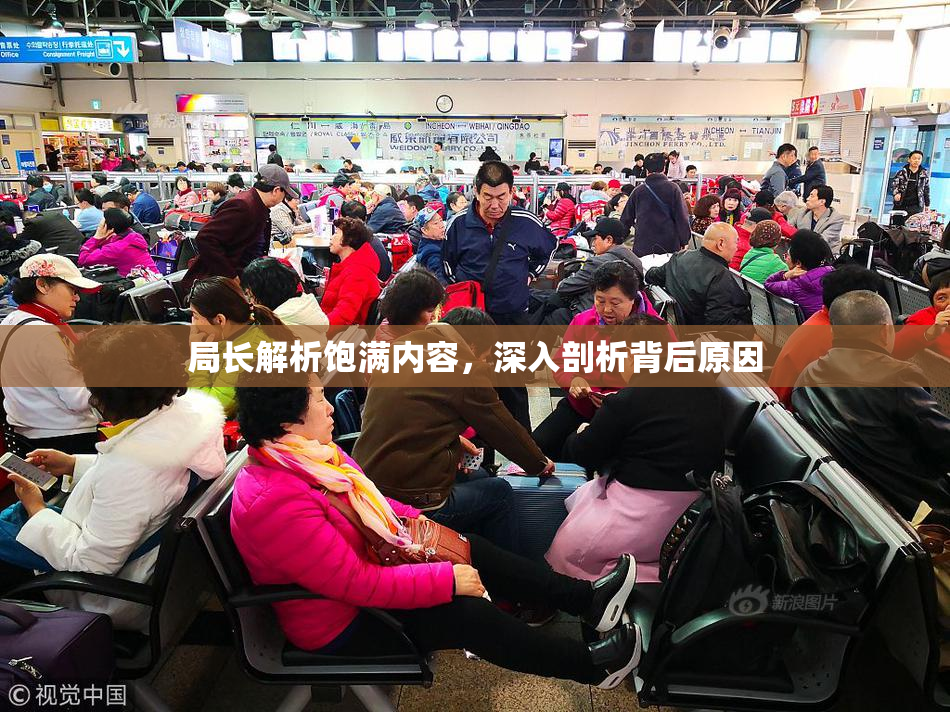 局长解析饱满内容，深入剖析背后原因