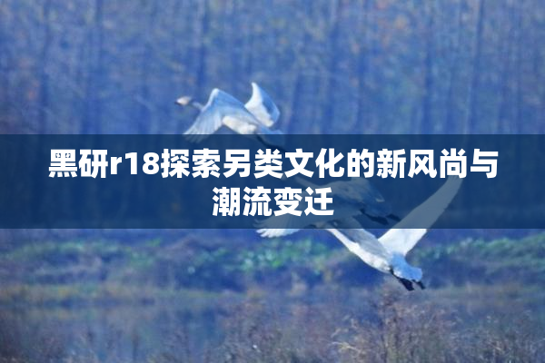 黑研r18探索另类文化的新风尚与潮流变迁