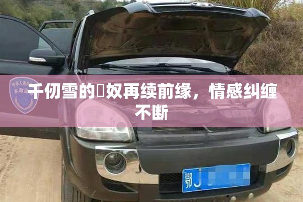 千仞雪的婬奴再续前缘，情感纠缠不断