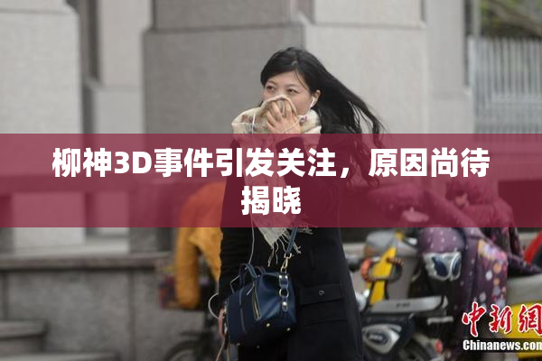柳神3D事件引发关注，原因尚待揭晓