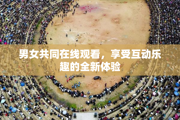 男女共同在线观看，享受互动乐趣的全新体验