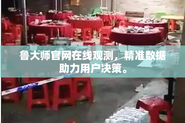 鲁大师官网在线观测，精准数据助力用户决策。