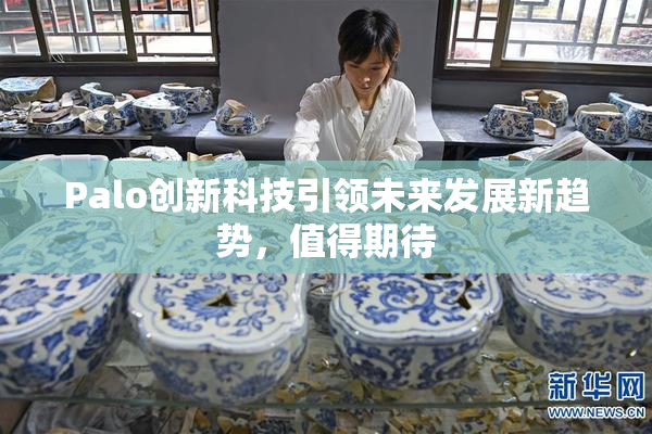 Palo创新科技引领未来发展新趋势，值得期待