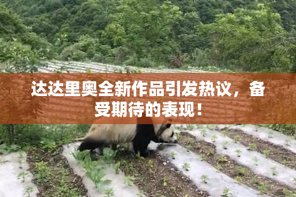 达达里奥全新作品引发热议，备受期待的表现！