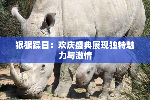 狠狠躁日：欢庆盛典展现独特魅力与激情
