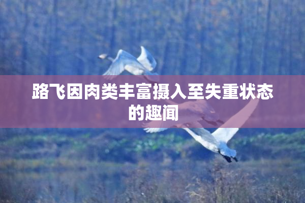 路飞因肉类丰富摄入至失重状态的趣闻
