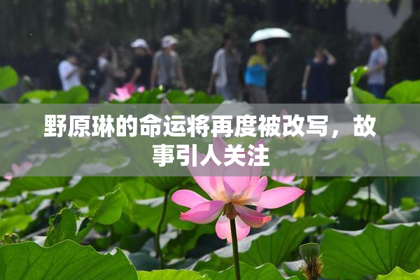 野原琳的命运将再度被改写，故事引人关注