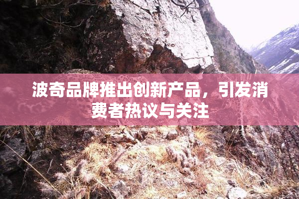 波奇品牌推出创新产品，引发消费者热议与关注