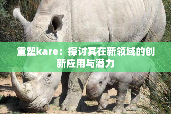 重塑kare：探讨其在新领域的创新应用与潜力