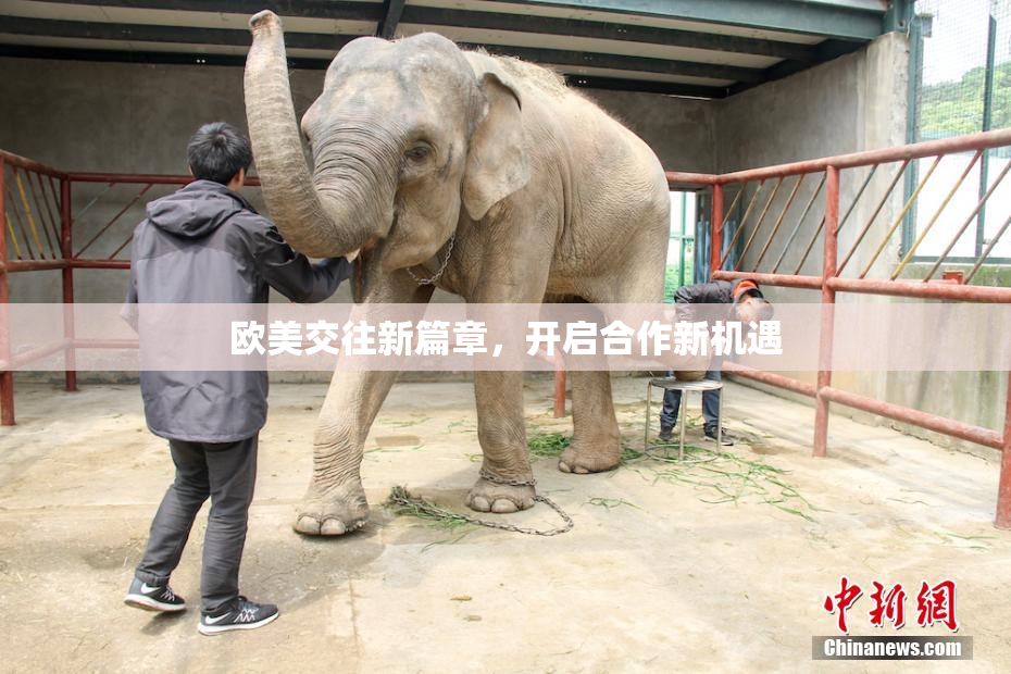 欧美交往新篇章，开启合作新机遇