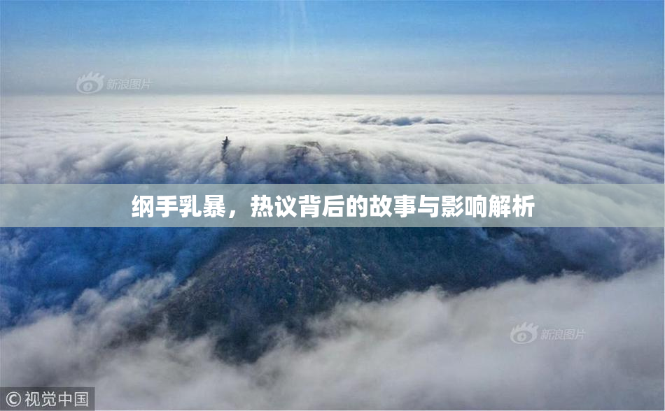 纲手乳暴，热议背后的故事与影响解析