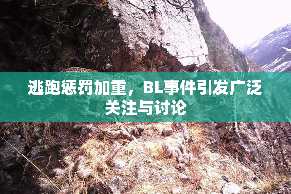 逃跑惩罚加重，BL事件引发广泛关注与讨论